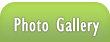 Photo Gallery