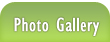 Photo Gallery